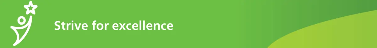 strive for excellence green banner